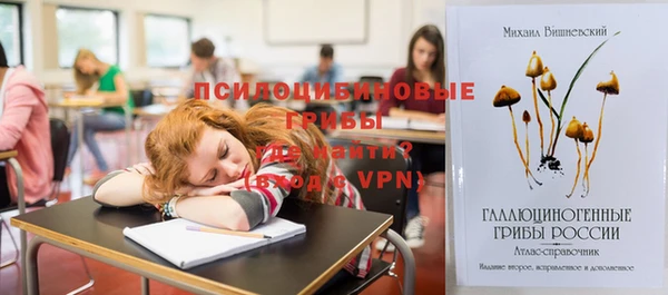 тгк Верея
