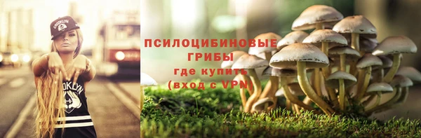 шишки Верхний Тагил