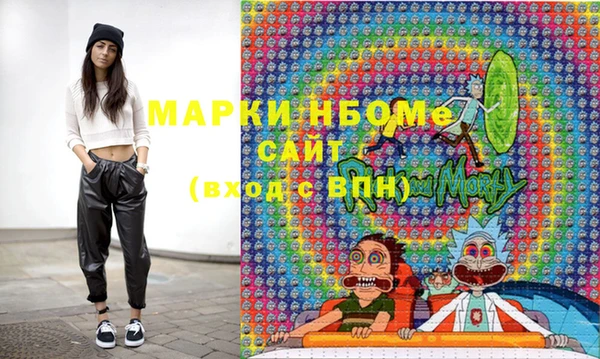 шишки Верхний Тагил