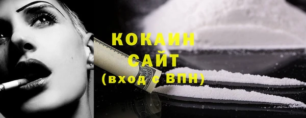 шишки Верхний Тагил