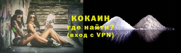 шишки Верхний Тагил