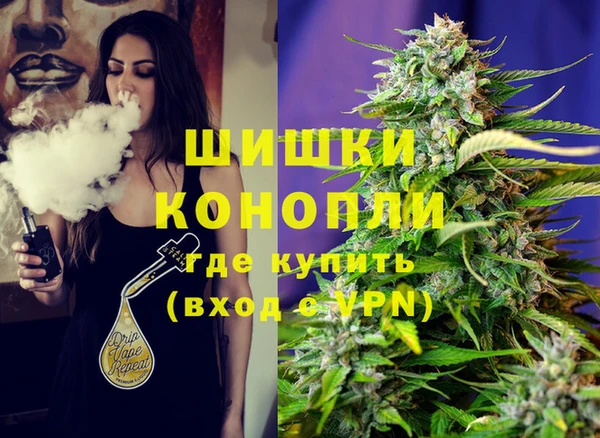 шишки Верхний Тагил