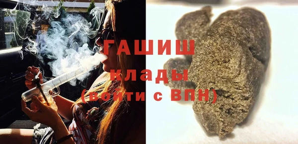 шишки Верхний Тагил