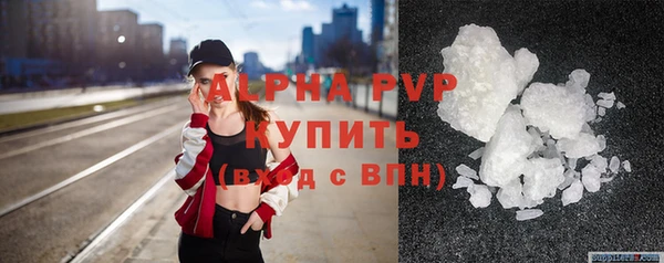 дурь Бородино