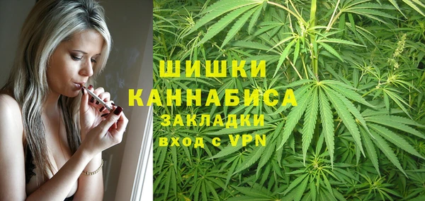 шишки Верхний Тагил