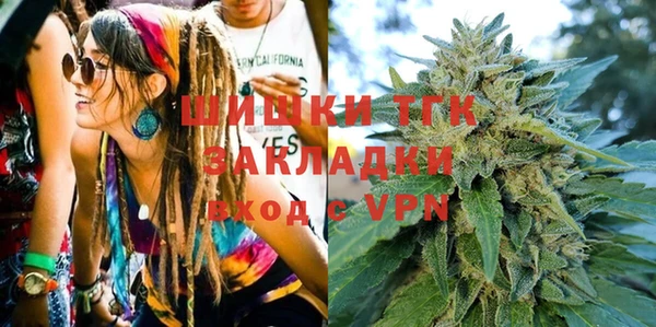шишки Верхний Тагил